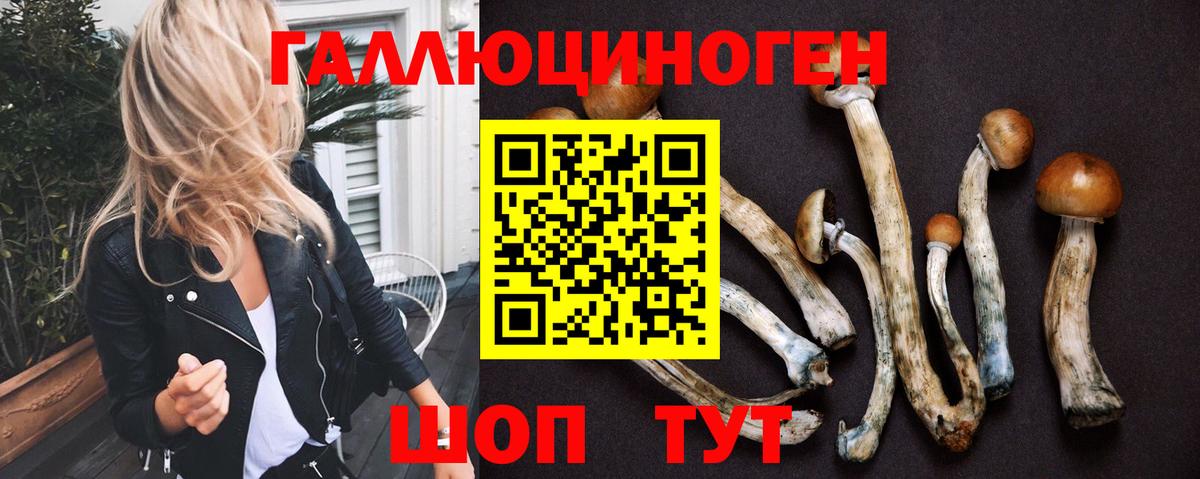 Галлюциногенные грибы ЛСД  Вход с VPN  Майкоп  Галлюциногенные грибы GOLDEN TEACHER 