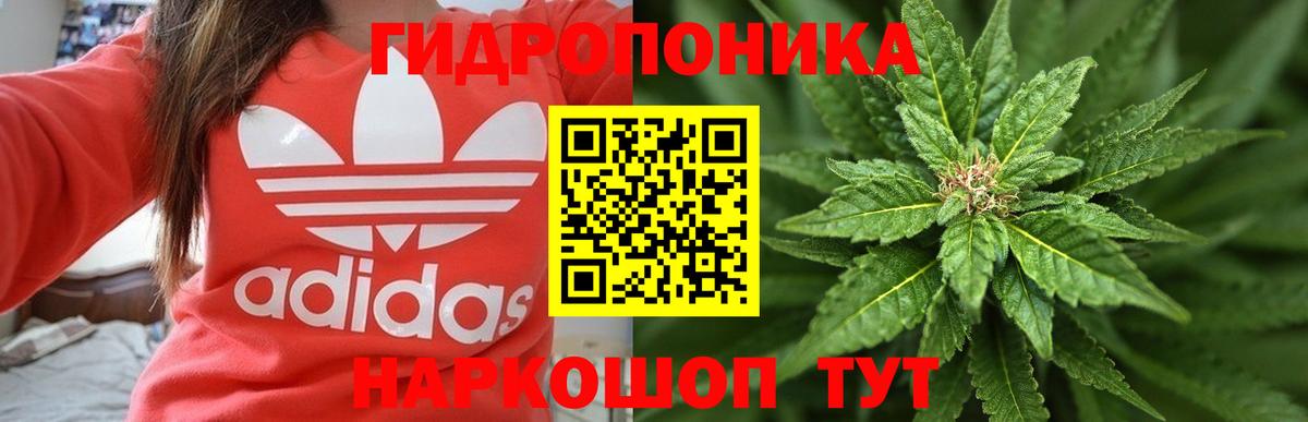 Бошки Шишки тримм  Марихуана Ganja  Конопля White Widow  Вход с VPN  Майкоп 
